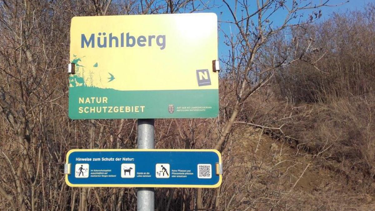 ESG Mühlberg