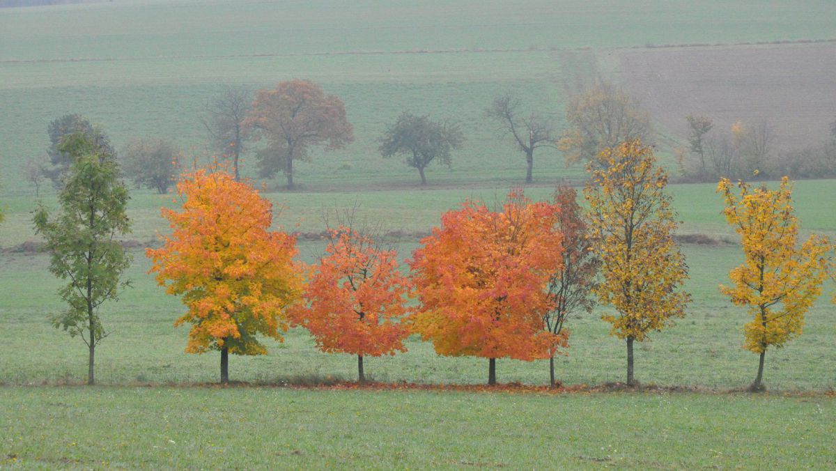 Herbststimmung