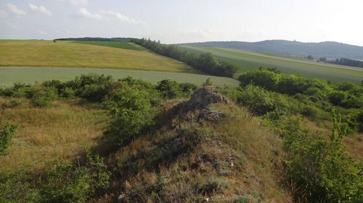 Weinviertler Klippenzone