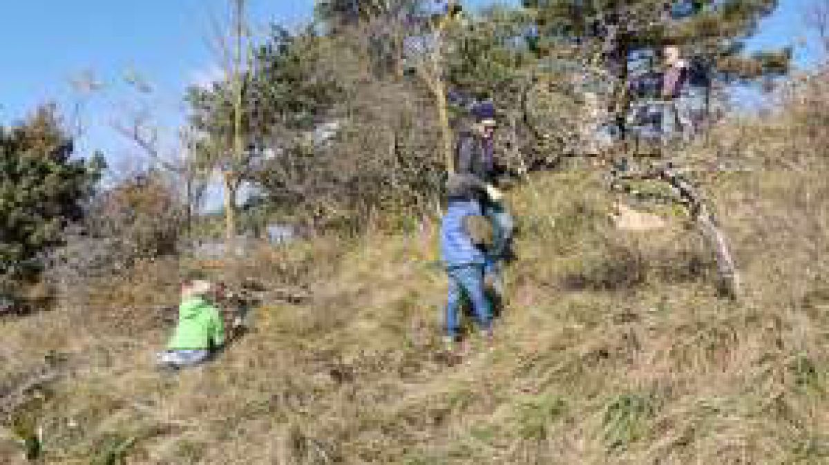 Pflegemaßnahmen in Schönberg am Kamp