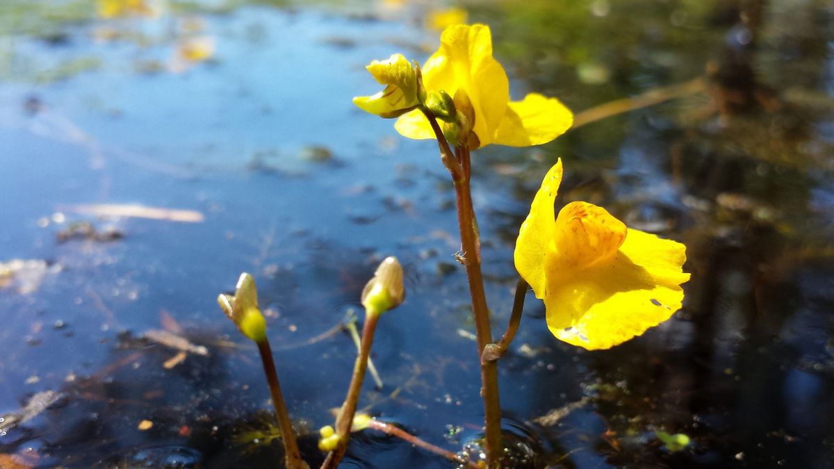 wasserschlauch-c-stefan-lefnaer