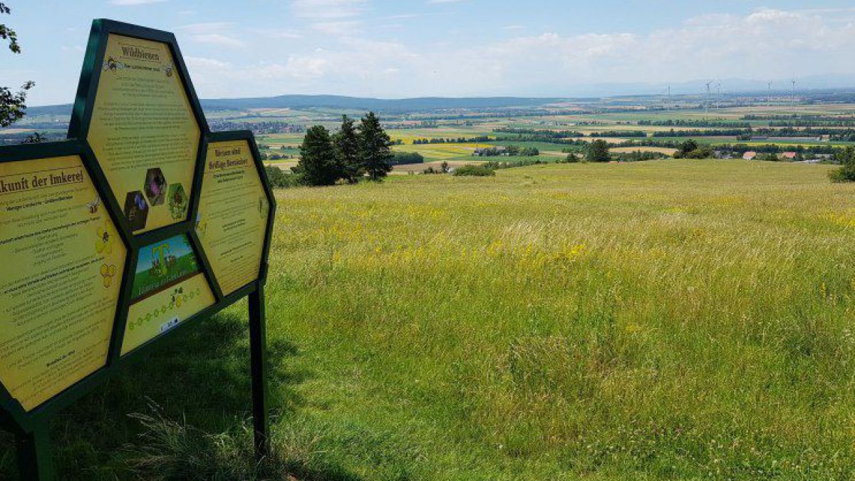 Blick über eine grüne Wiese mit einzelnen Bäumen, am linken Bildrand eine Schautafel über Bienen mit wabenförmigen Tafeln.