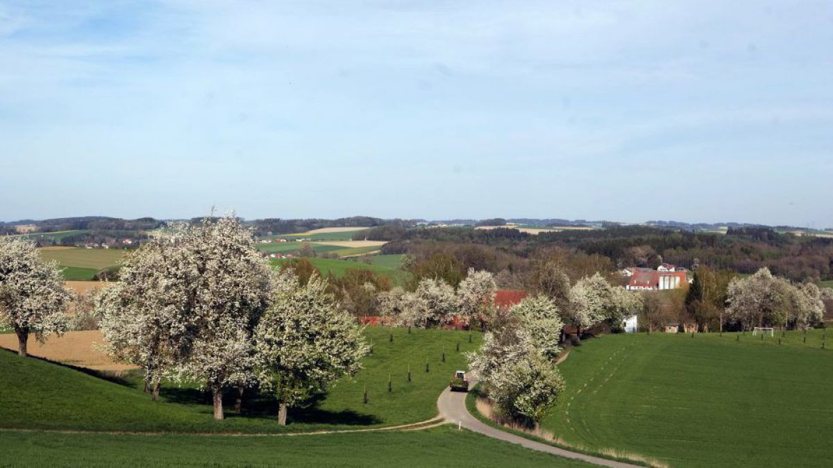 Landwirtschaftlich geprägte Landschaft mit blühenden Obstbäumen, Dorf mit Kirche, blauer Himmel