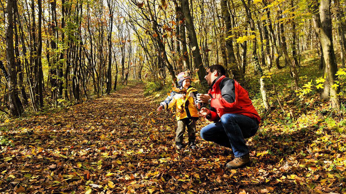 Mann mit Kind beim Wandern durch einen herbstlichen Wald