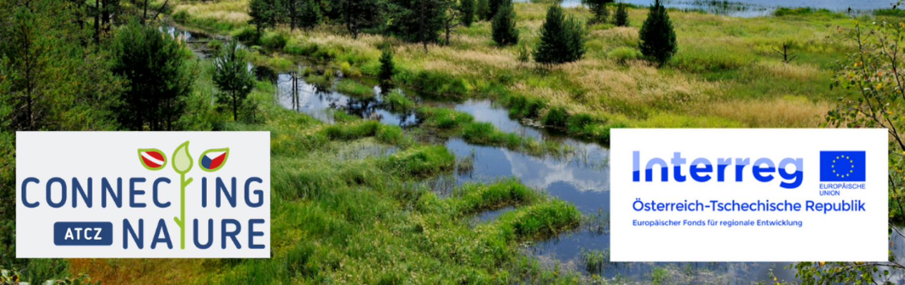 Naturland фото до закрытия